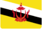 Brunei flag